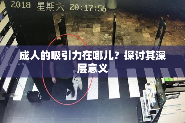 成人的吸引力在哪儿？探讨其深层意义