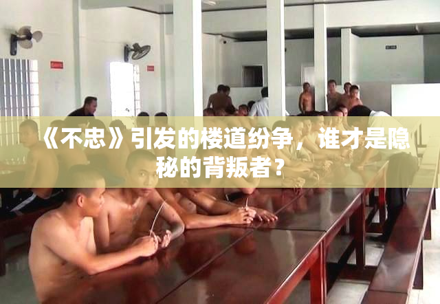 《不忠》引发的楼道纷争，谁才是隐秘的背叛者？