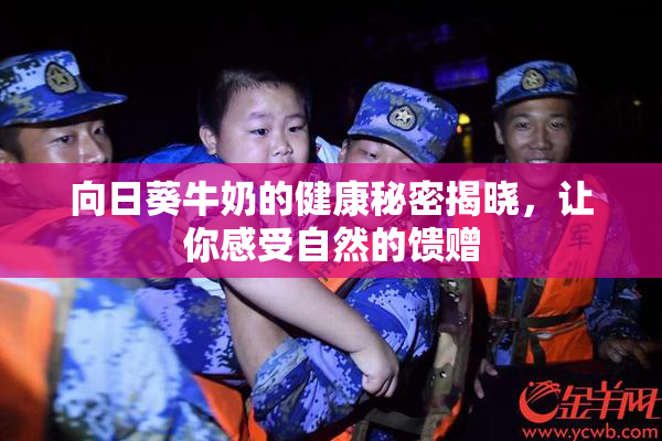 向日葵牛奶的健康秘密揭晓，让你感受自然的馈赠