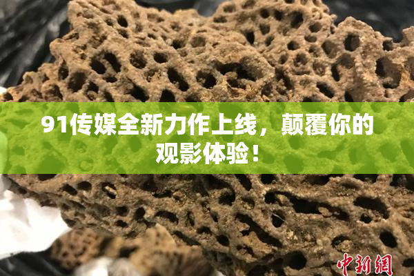 91传媒全新力作上线，颠覆你的观影体验！