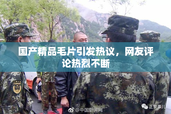 国产精品毛片引发热议，网友评论热烈不断