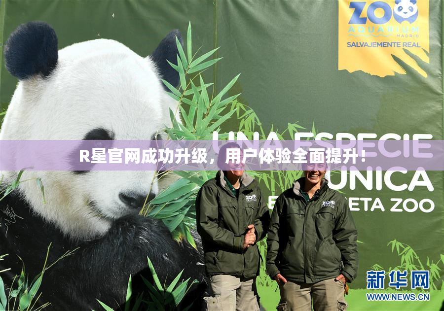 R星官网成功升级，用户体验全面提升！