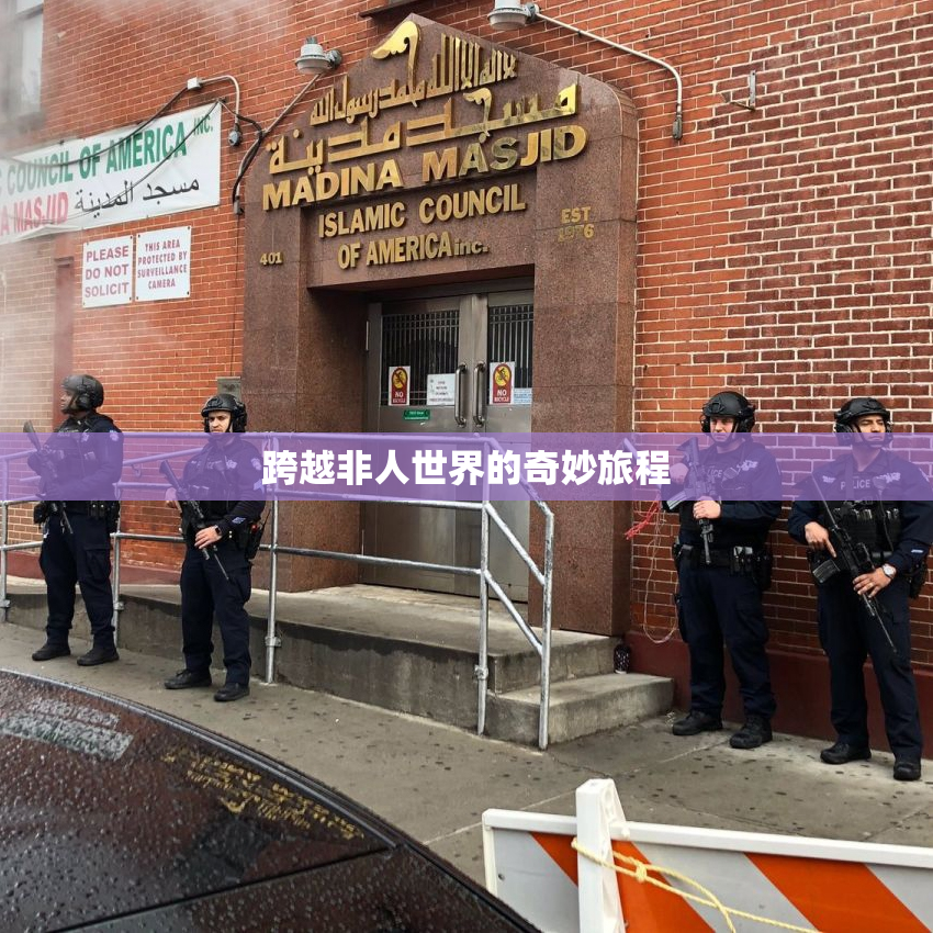 跨越非人世界的奇妙旅程