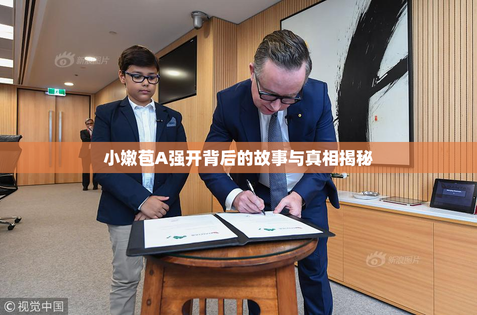 小嫩苞A强开背后的故事与真相揭秘