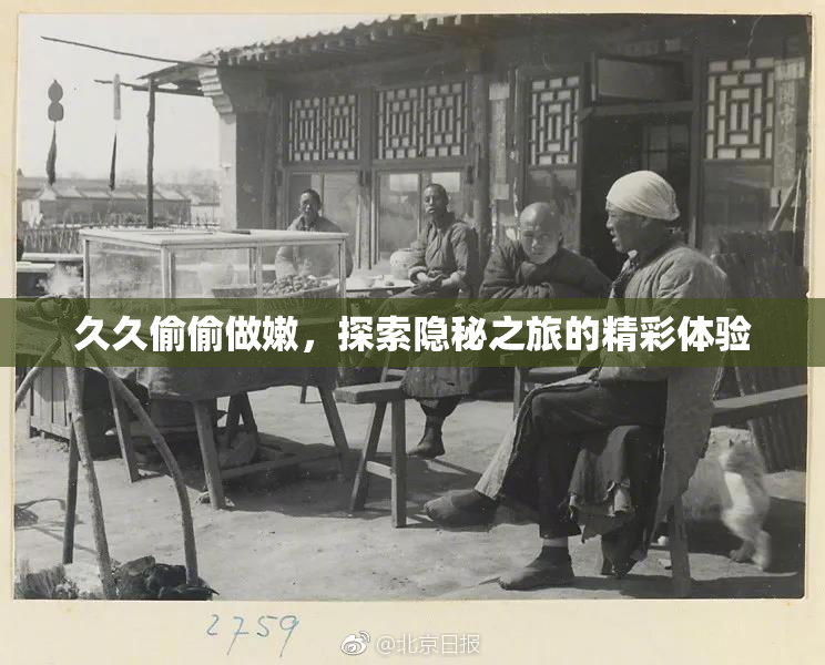久久偷偷做嫩，探索隐秘之旅的精彩体验