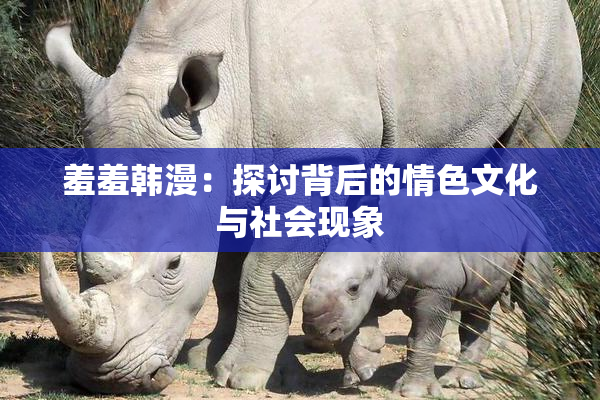 羞羞韩漫：探讨背后的情色文化与社会现象
