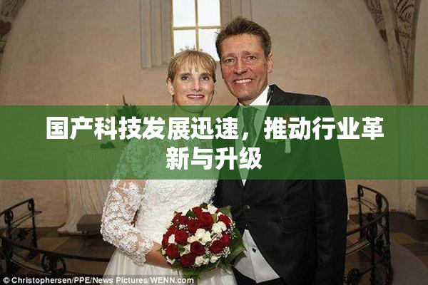 国产科技发展迅速，推动行业革新与升级