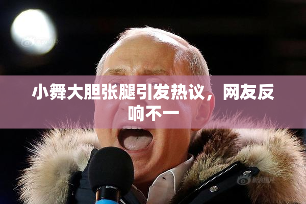 小舞大胆张腿引发热议，网友反响不一