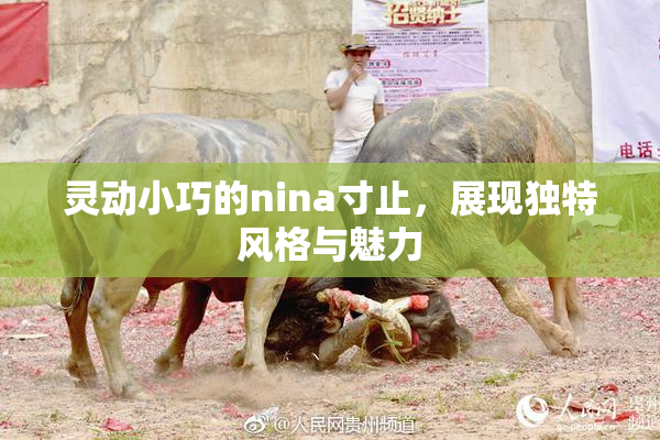 灵动小巧的nina寸止，展现独特风格与魅力