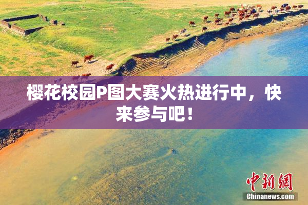樱花校园P图大赛火热进行中，快来参与吧！