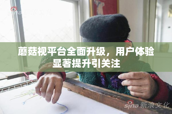 蘑菇视平台全面升级，用户体验显著提升引关注