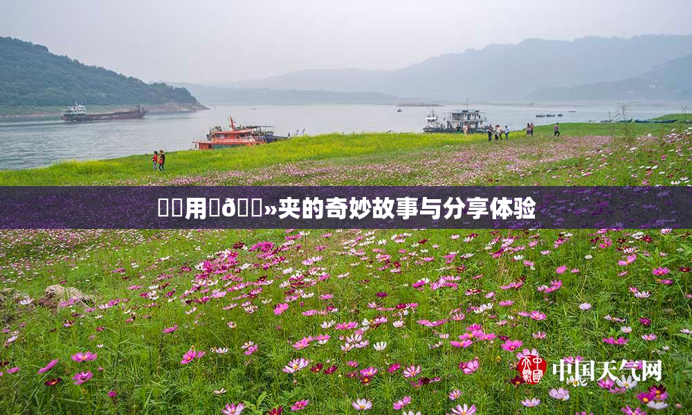 妺妺用‌🐻夹的奇妙故事与分享体验