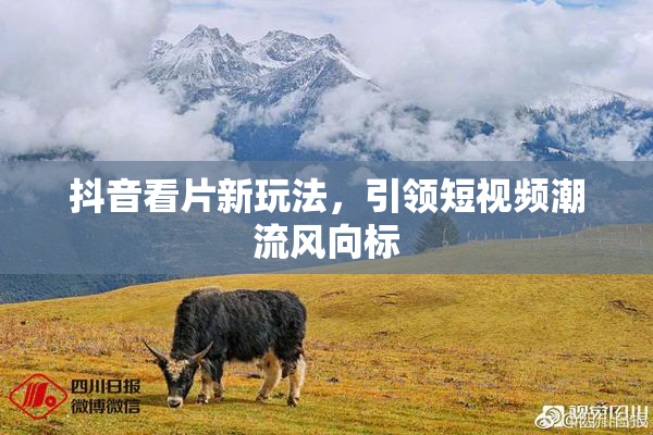 抖音看片新玩法，引领短视频潮流风向标