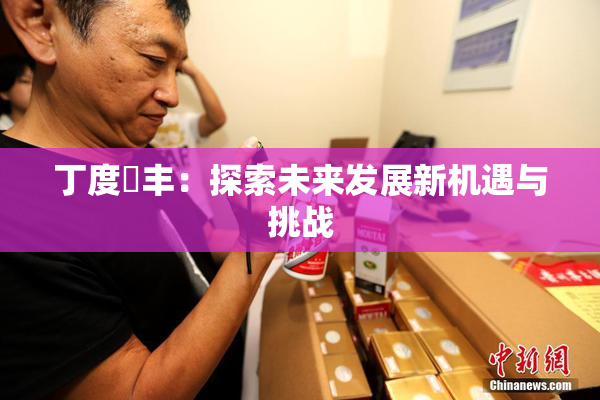丁度巜丰：探索未来发展新机遇与挑战