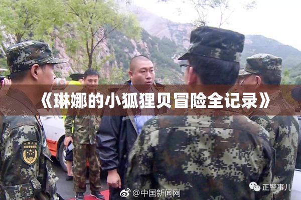 《琳娜的小狐狸贝冒险全记录》