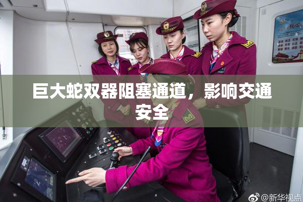 巨大蛇双器阻塞通道，影响交通安全