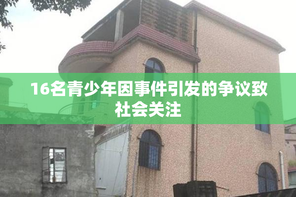 16名青少年因事件引发的争议致社会关注