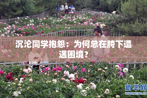 沉沦同学抱怨：为何总在胯下遭遇困境？