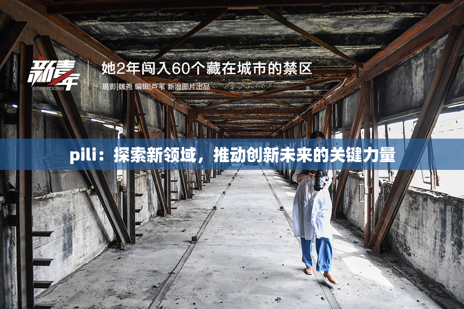 pili：探索新领域，推动创新未来的关键力量