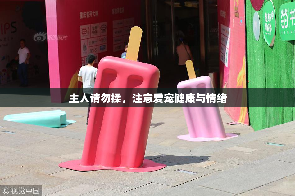 主人请勿揉，注意爱宠健康与情绪