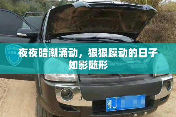 夜夜暗潮涌动，狠狠躁动的日子如影随形