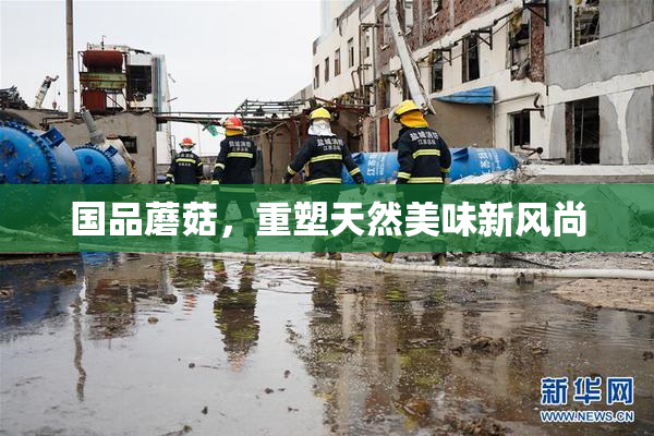 国品蘑菇，重塑天然美味新风尚