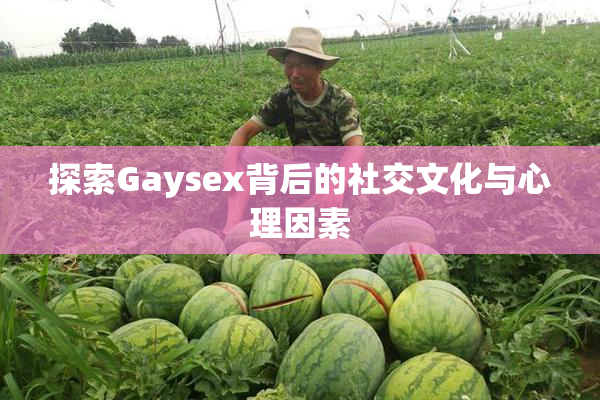探索Gaysex背后的社交文化与心理因素