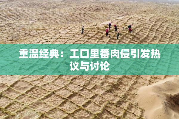 重温经典：工口里番肉侵引发热议与讨论