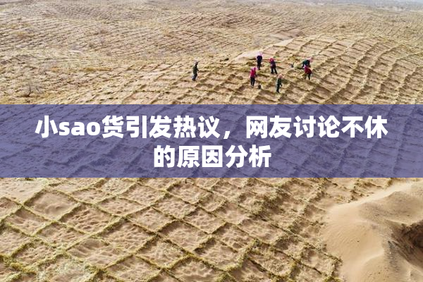 小sao货引发热议，网友讨论不休的原因分析