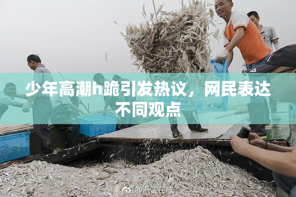 少年高潮h跪引发热议，网民表达不同观点