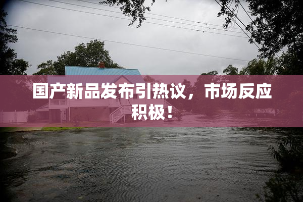 国产新品发布引热议，市场反应积极！