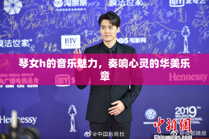 琴女h的音乐魅力，奏响心灵的华美乐章