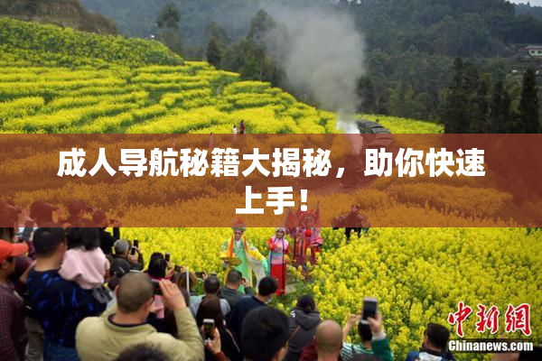 成人导航秘籍大揭秘，助你快速上手！