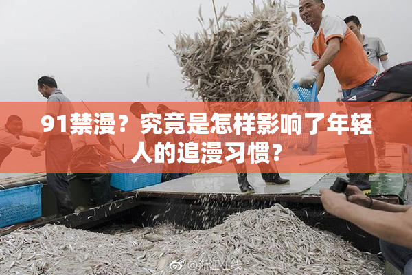 91禁漫？究竟是怎样影响了年轻人的追漫习惯？