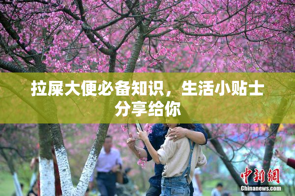 拉屎大便必备知识，生活小贴士分享给你