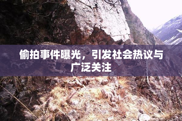 偷拍事件曝光，引发社会热议与广泛关注