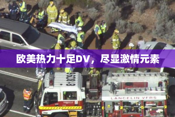 欧美热力十足DV，尽显激情元素