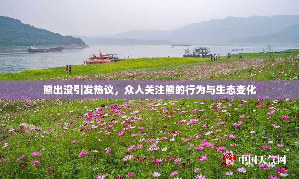 熊出没引发热议，众人关注熊的行为与生态变化