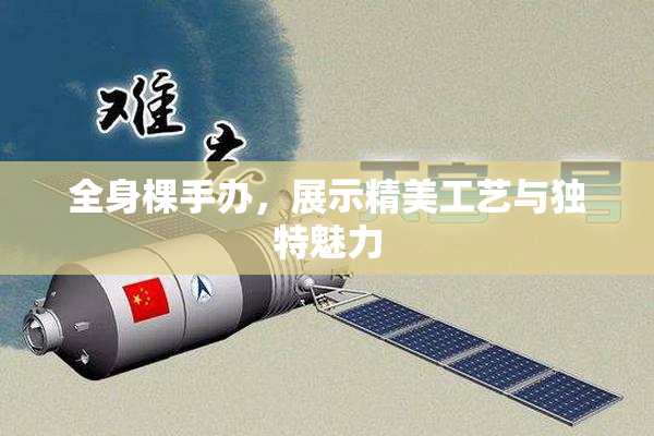全身棵手办，展示精美工艺与独特魅力