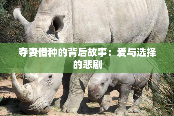 夺妻借种的背后故事：爱与选择的悲剧