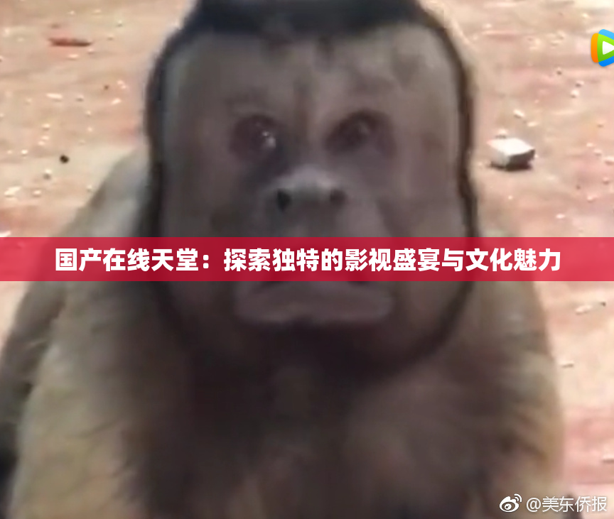 国产在线天堂：探索独特的影视盛宴与文化魅力