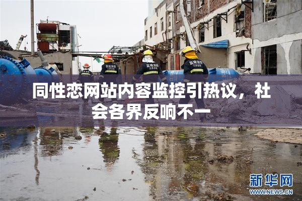 同性恋网站内容监控引热议，社会各界反响不一