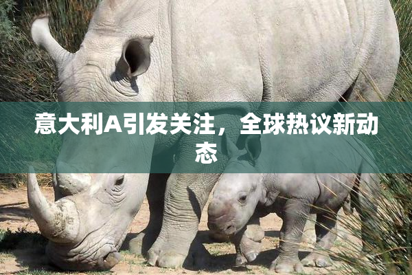 意大利A引发关注，全球热议新动态