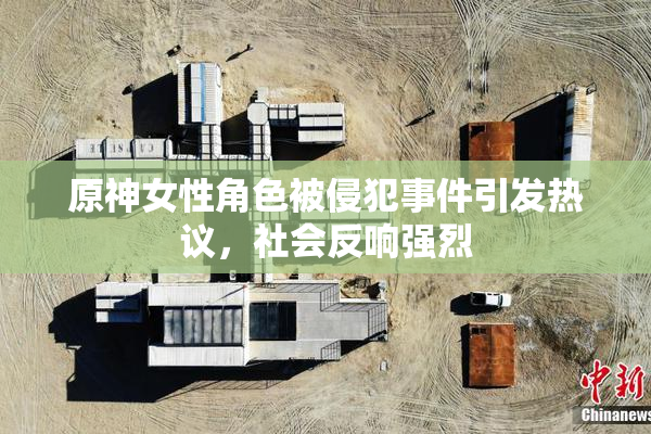 原神女性角色被侵犯事件引发热议，社会反响强烈