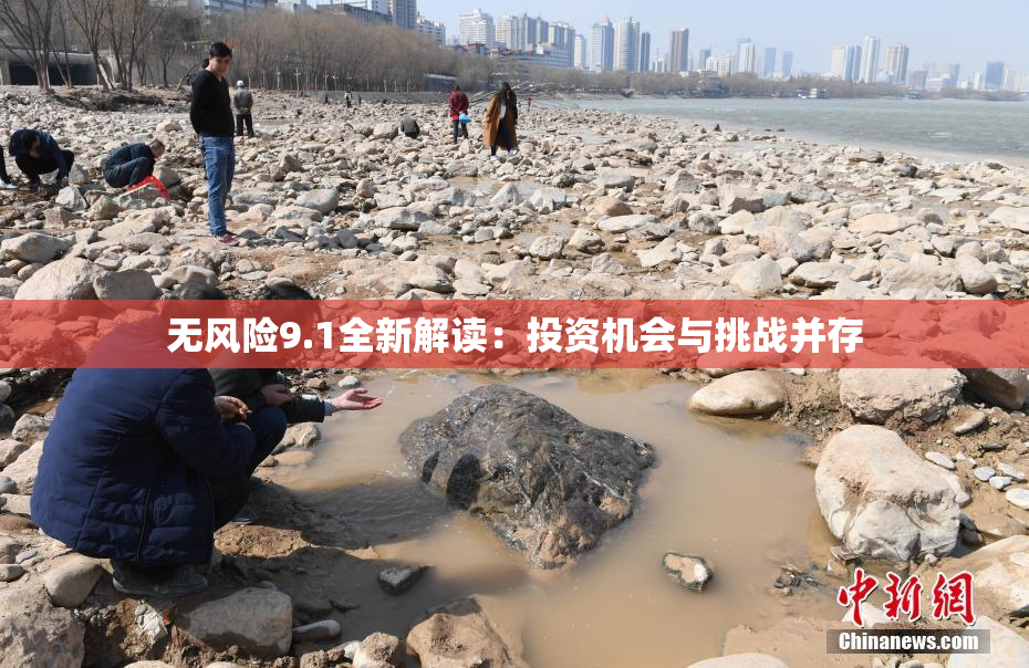 无风险9.1全新解读：投资机会与挑战并存