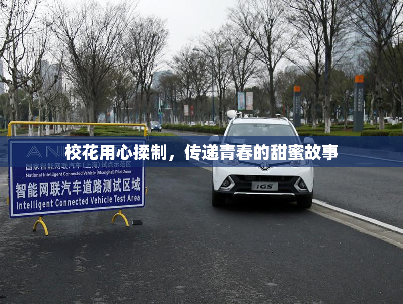 校花用心揉制，传递青春的甜蜜故事