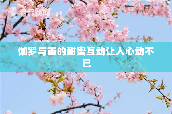 伽罗与重的甜蜜互动让人心动不已