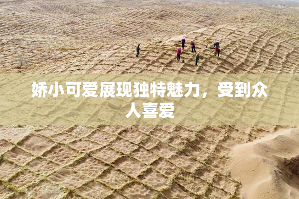 娇小可爱展现独特魅力，受到众人喜爱