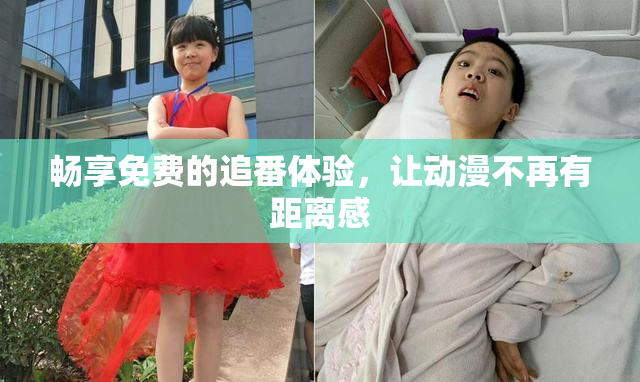 畅享免费的追番体验，让动漫不再有距离感