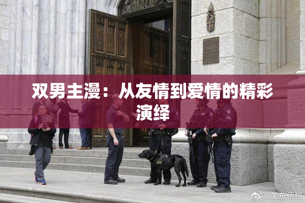 双男主漫：从友情到爱情的精彩演绎